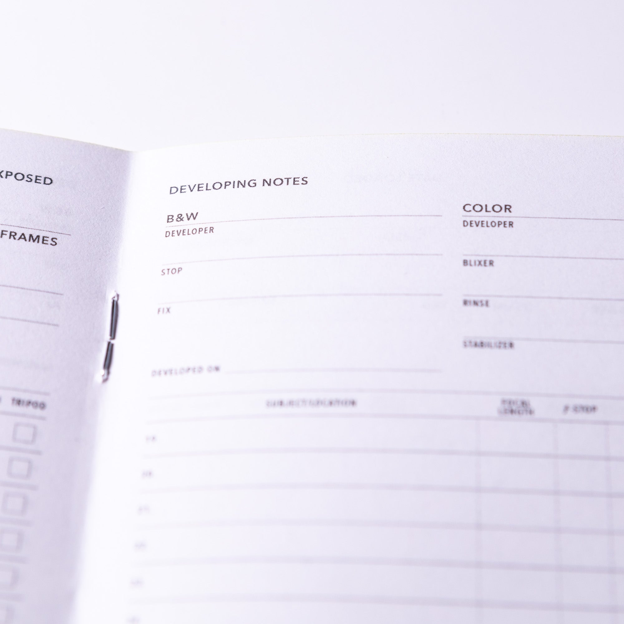 Film Photography Log image 7