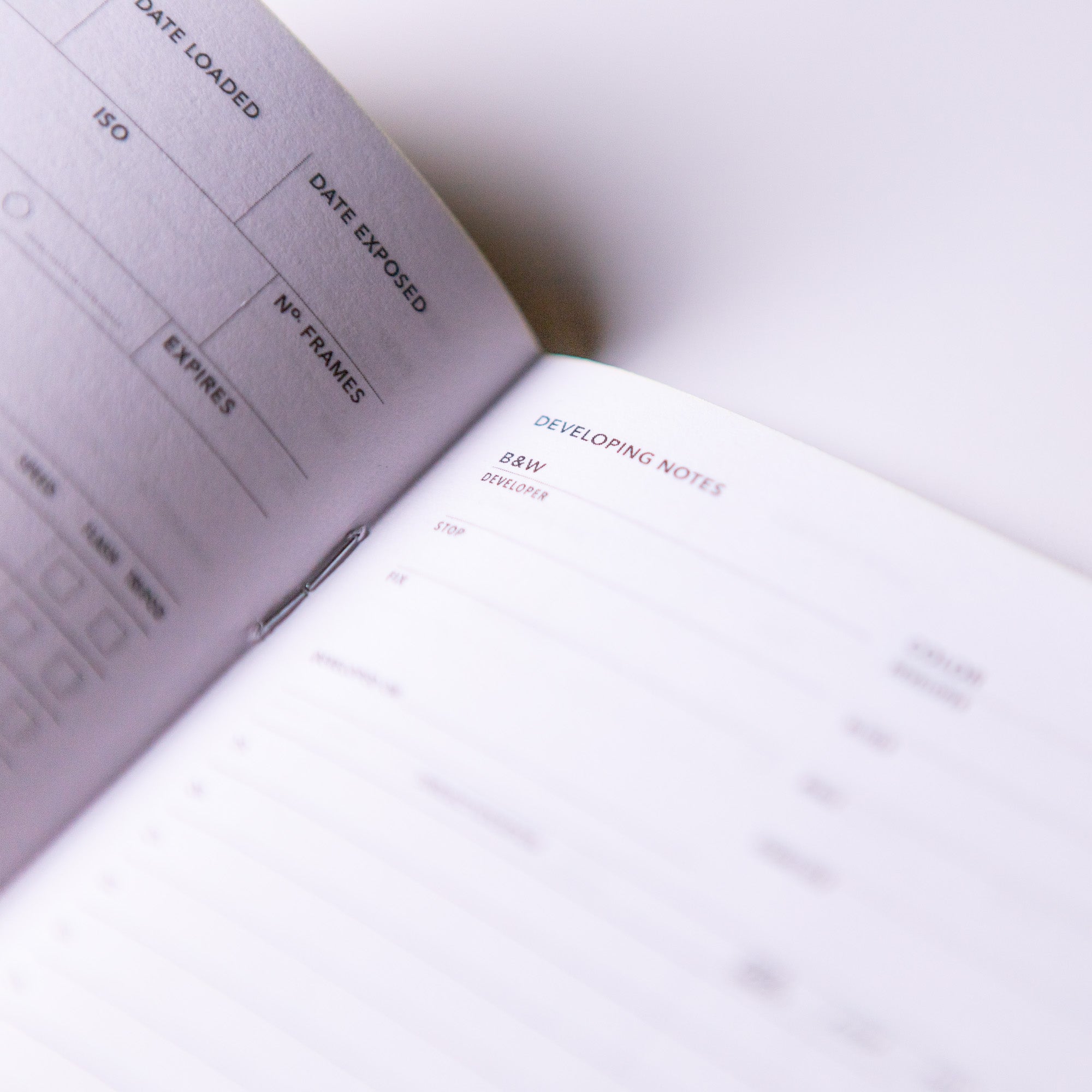 Film Photography Log image 3